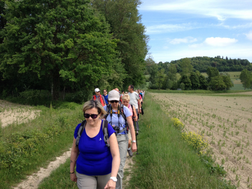 Trekking a Cella Monte tra